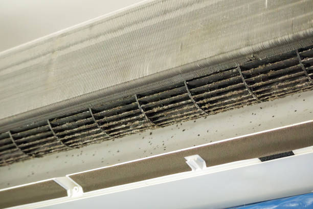 Best Emergency Air Duct Cleaning  in Hartsville, TN